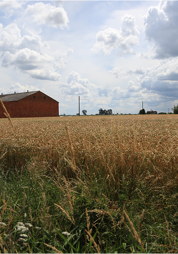 T_FOOTER_PAINTING_IMAGE